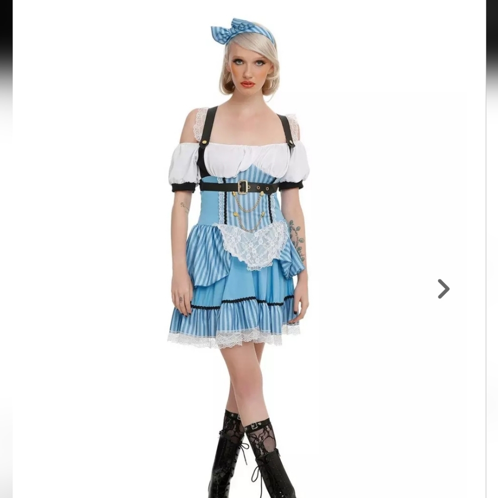 Steam Punk Alice NWT